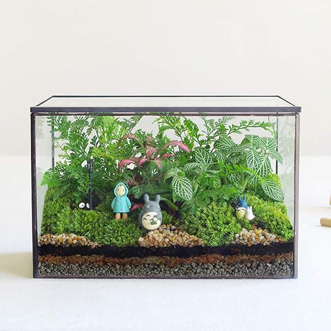 Glass Plants Terrarium with Lid,Rectangle Black Pot Box for Indoor Plants,Geometric Clear Containers for Moss and Succulent,Tabletop Decor DIY Gift,8.3”L x 4.7”W x 5.5”H