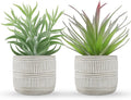 Der Rose 2 Pack Fake Succulents Plants Artificial Succulents in Pots for Room Home Bathroom Bedroom Office Boho Decor