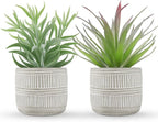 Der Rose 2 Pack Fake Succulents Plants Artificial Succulents in Pots for Room Home Bathroom Bedroom Office Boho Decor