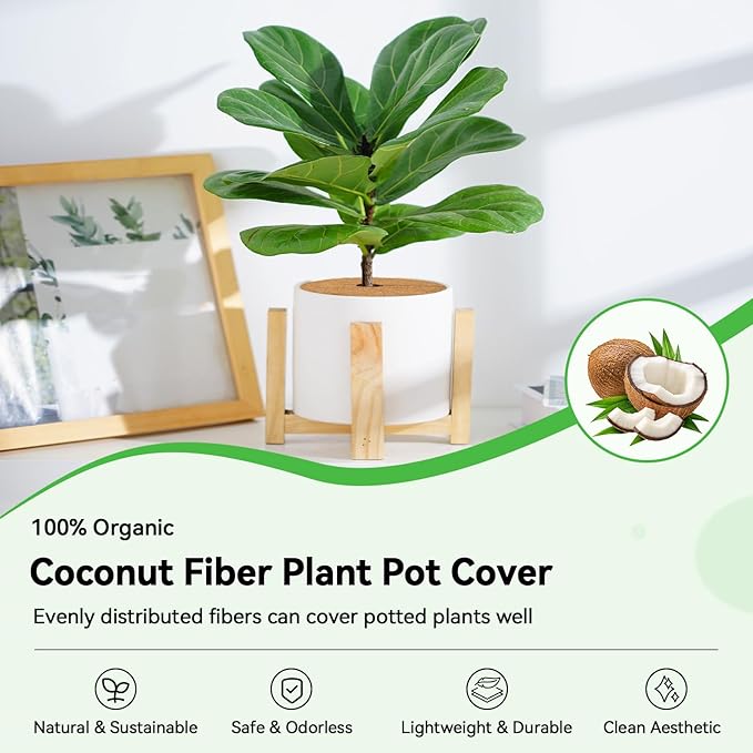 ZeeDix 10 Pack Coconut Fiber Mulch Ring, 6 Inch Coco Coir Tree Ring Mulch Mat, 100% Natural Tree Protector Mat Plant Cover Ring Coconut Coir Discs Tree Mats Mulch Rings for Indoor Outdoor Trees Plants