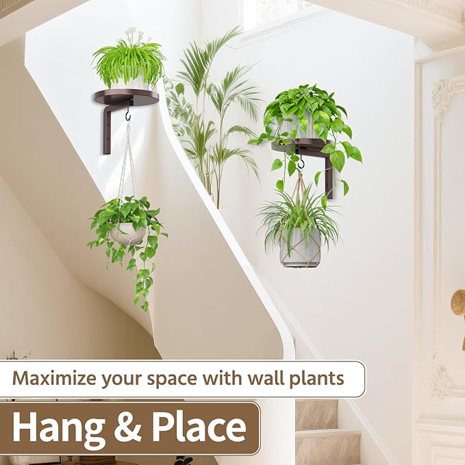LASZOLA Plant Hangers Shelves Wall Mounted Indoor, Metal Window Plant Holders, 2Pcs Modern Floating Flower Display Stand with 2 Hooks for Outdoor Kitchen Bathroom Decor, Bronze
