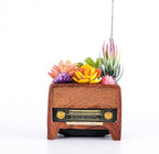 Succulent Pot Planter Vintage Home-Decor - Plant Pot Indoor for Succulents Plants Live,Small Flower Pot Retro Radio Desk Decor Container for Air Plant