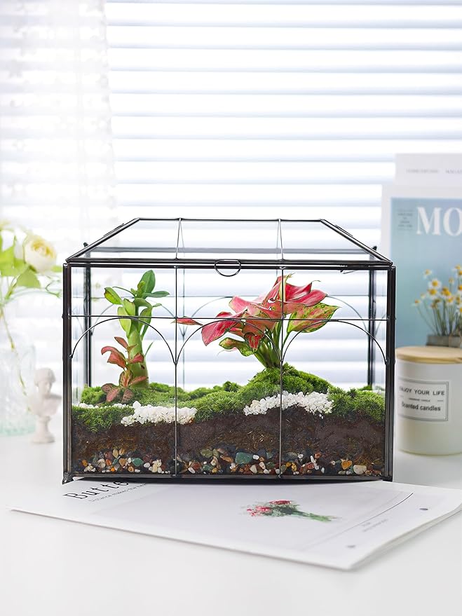 REDHUGO Handmade Glass Planter Terrarium with Lid, Indoor Tabletop Centerpiece Display Box Modern Decor DIY Gift Plant Terrarium Container for Succulent Cacti Air Plants Flower (Black)
