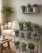 vensovo 3 Inch Metal Rustic Flower Pots - 9 Pcs Small Galvanized Planters with Drainage Hole and Rubber Plug, Rustproof Tin Bucket Plant Pot Indoor Farmhouse Vintage Style for Decor, Silver