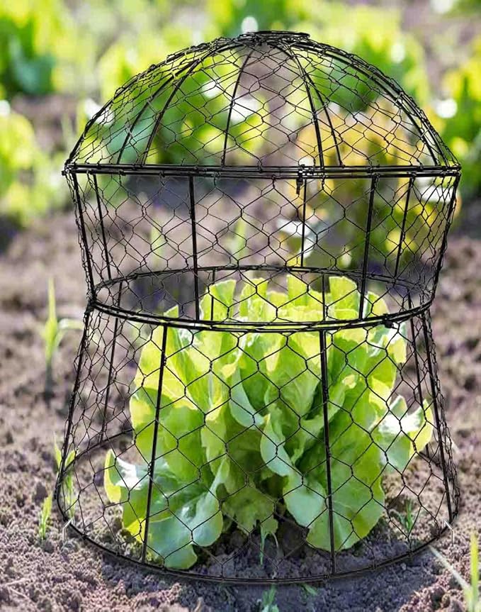 Garden Cloches for Plants 2 Pack Metal Plant Protectors from Animals Chicken Wire Cloche Updated Plant Cages for Outdoor Plants Vegetables Seedlings 13" D x 14" H
