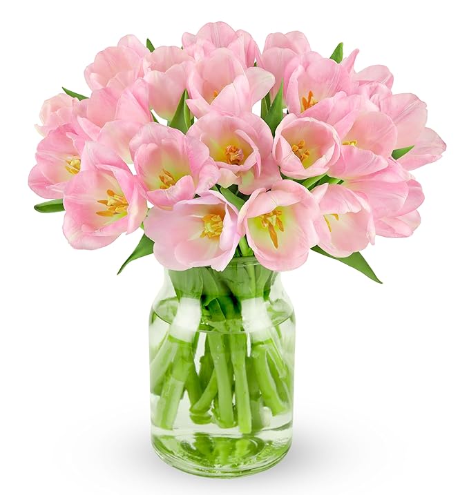 Benchmark Bouquets - Pink Tulips - Fresh Flowers for Delivery - Pink Flowers - Mothers Day Flowers - Mothers Day Gifts for Mom - Fresh Cut Flowers - Glass Vase Included (20 Stems)