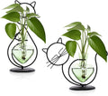 Plant Terrarium Plants Propagation Station Cat Lover Gifts for Women Home Office Decor Cat Desk Accessories