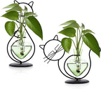 Plant Terrarium Plants Propagation Station Cat Lover Gifts for Women Home Office Decor Cat Desk Accessories