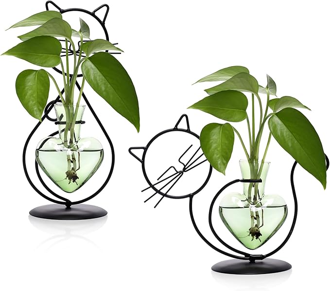 Plant Terrarium Plants Propagation Station Cat Lover Gifts for Women Home Office Decor Cat Desk Accessories