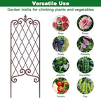 AMAGABELI GARDEN & HOME 2 Pack 47” x 16” Metal Garden Trellis for Climbing Plants Outdoor Trellis for Climbing Roses Vines Vegetables Metal for Ivy Cucumbers Brown