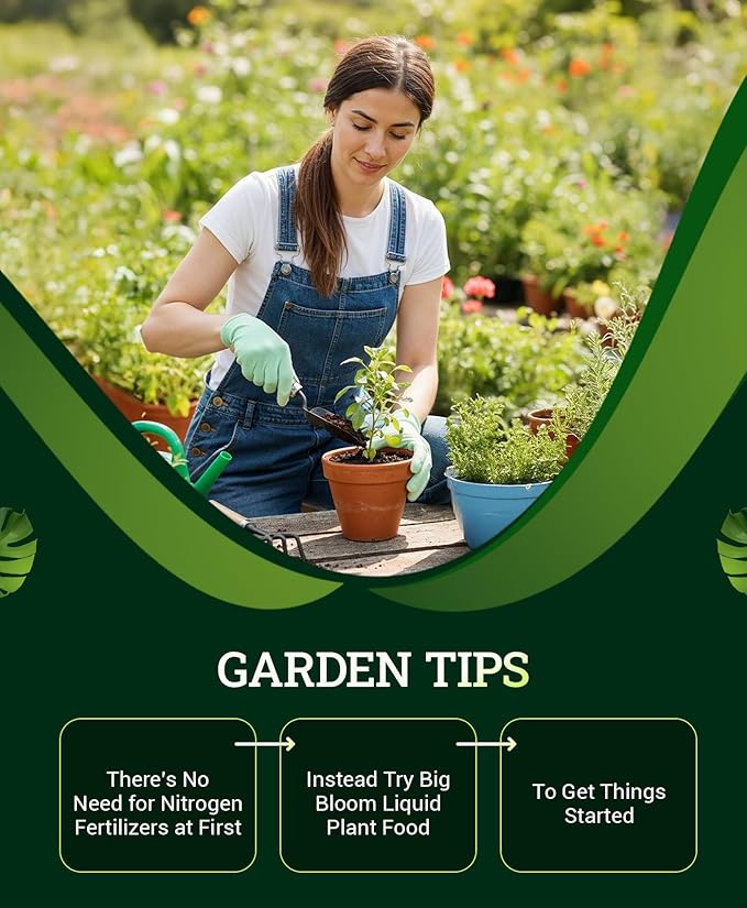 FoxFarm Ocean Forest Potting Soil for Container Gardens - Light, Aerated Texture with Fish Meal, Crab Meal, Earthworm Castings - Houseplant Potting Mix for Seedlings & Plant Starts - 2 x 12 Quart