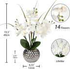 Briful Orchids Artificial Flowers, 20'' White Faux Orchid with Silver Vase Fake Phalaenopsis Flowers for Home Table Living Room Office Kitchen Decor