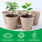 BEWBBAT 100 Pack Peat Pots for Seedlings, 3.15 Inch Plant Starter Cups with Drainage Holes, Garden Germination Nursery Pots with 30 Plant Labels, 2 Transplant Tools for Herb, Vegetables, Plants