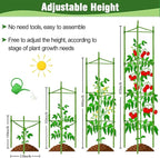 63Inch Tomato Cage for Garden Plant Support, 4Pack Adjustable Tall Tomato Cages Garden Stakes, Tomato Trellis for Pots, Tomato Cage Plant Trellis for Raised Garden Bed Climbing Plants Flowers