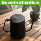 34 oz / 1000 ml Watering Can Indoor Plants, Stainless Steel Plant Watering Can with Long Spout (Black)