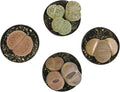 Plants for Pets Safe Non-Toxic Living Stones Succulents (4PK) XL Real Giant Lithops, Live Succulent Plants for Cats & Dogs, 2.5" Pots, Pet Friendly Houseplants, Unique Houseplant for Home or Office