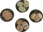 Plants for Pets Safe Non-Toxic Living Stones Succulents (4PK) XL Real Giant Lithops, Live Succulent Plants for Cats & Dogs, 2.5" Pots, Pet Friendly Houseplants, Unique Houseplant for Home or Office