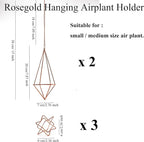 5Pcs Metal Air Plants Hanging Holders and Stands Set (2 Wall Hangers with Chains + 3 Table Stands), Rose Gold Geometric Home Decor for Windows/Wedding, 2.75 Inch Rust-Resistant Display Rack