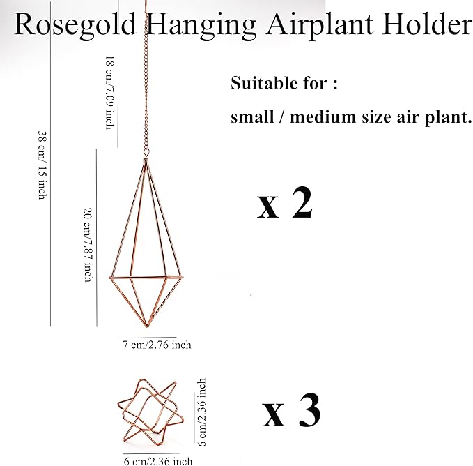 5Pcs Metal Air Plants Hanging Holders and Stands Set (2 Wall Hangers with Chains + 3 Table Stands), Rose Gold Geometric Home Decor for Windows/Wedding, 2.75 Inch Rust-Resistant Display Rack