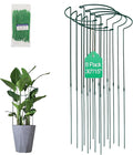 Tall Heavy-Duty 30in Plant Support Stakes - 8 Pack Adjustable Peony Cages & Supports for Outdoor Plants, Half-Round Garden Stakes for Hydrangea, Roses with Extension Stakes