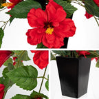 Briful Artificial Hanging Hibiscus Flowers in White Pot, Tropical Faux Hibiscus Plant with Removable Decorative Planter, Red Trailing Flower Basket for Porch Patio Balcony Indoor Outdoor Home Decor