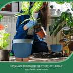 montresor 2 Pack 8 inch Plant Pots, PP Plastic Self Watering Plant Pot with Drainage and Tray for Indoor Outdoor Plants, Water Level Window & Reservoir Flower Pots Decorative Planter (Blue)