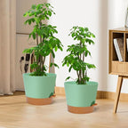 YNNICO 12 Inches Indoor Self Watering Planters with Drainage Holes and Saucers, 4 Pack (Green)