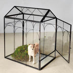 HighFree Geometric Plant Terrarium with Lid, House Succulent Terrarium Kit for Succulents Cacti Snail, Home Tabletop Miniature Terrarium (Black with Side Door)
