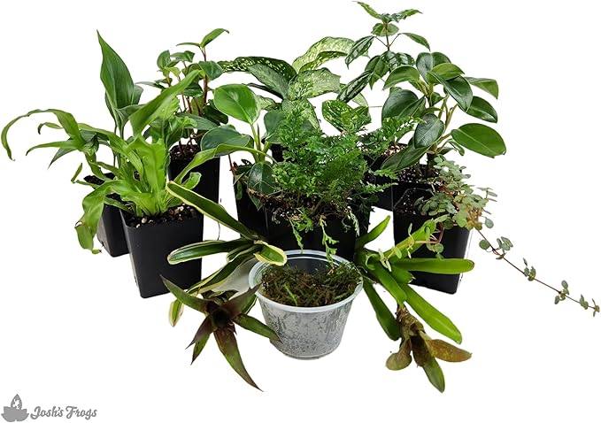 Josh's Frogs Dart Frog Vivarium Bioactive Plant Kits (29 Gallon)