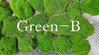 Preserved Pole Moss Pillow Bun Cushion Natural Green Decorative Real Natural Green DIY Kit Terrariums Gardenning Art Wall Decor Florist Decor Easter Table Decor Wedding(4.5 sq.ft., Green-B)