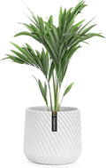 Fox & Fern Plant Pot, Large Plant Pots for Indoor & Outdoor, UV & Frost Resistant Plant Vase with Drainage Plug, Polystone, Large Indoor Pots for Plants & Flowers, House Indoor Plant Pot, Single Pot