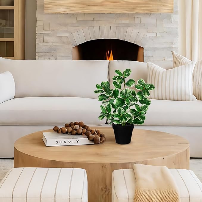 17" Artificial Rubber Plant in Black Pot, Faux Ficus Plant Potted with Cream White Edge Foliages, Fake Greenery Plant for Home Office Tropical Decor