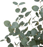 12 Pcs 27" Eucalyptus Stems Greenery Stems Eucalyptus Leaf Spray in Green Silk Plastic Plants Floral Artificial Plants for Home Party Wedding Decoration(Dark Green)