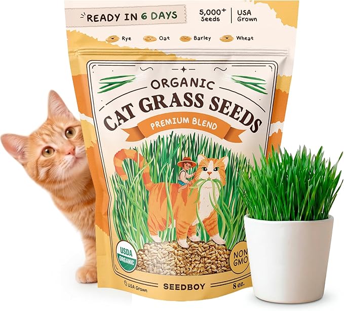Seedboy Organic Cat Grass Seeds for Planting, Non-GMO Wheat, Oat, Rye, and Barley Cat Grass for Indoor Cats (8 oz)