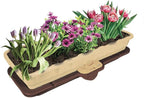 Hozelock 2811 0000 Flower/Vegetable Waterer, Orange