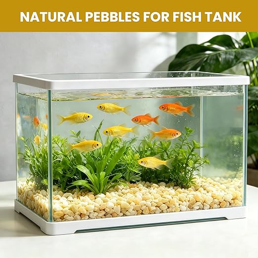 1/8 Inch Aquarium Gravel, Cream Beige Small Pebbles for Fish Tank, Succulents, Indoor Plants, Terrarium, Vase Filler, Natural Mini River Rocks for Drainage and Top Dressing, 6LB