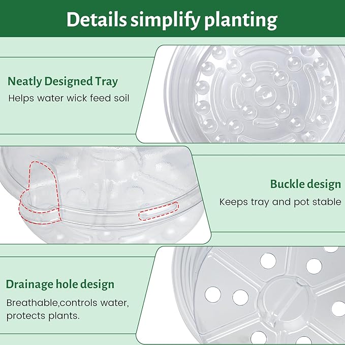 Bluepro 12 Pack 6.5 Inch Clear Self Watering Plant Pots with Bottom Water Tray & Watering Rope, Transparent Nursery Pots with Drainage for Seedlings, Herbs, and Houseplants
