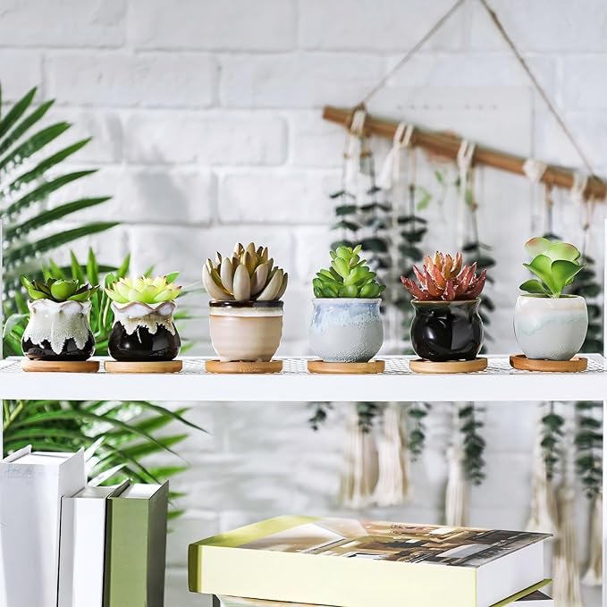 Remerry 18 Pcs Small Succulent Pots Bulk with Drainage 2.5 Inch Assorted Mini Ceramic Succulent Planters Pot with Coaster Bamboo Plant Tray Planting Pots for Home Office Garden
