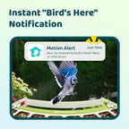 Birdfy Smart Bird Feeder with Camera, Durable Metal Bird Feeders for Outdoors, Auto-Detect & Record HD Videos, Instant Alerts & Live View, Solar Powered, Weatherproof for Backyard, Ideal Gift for Mom