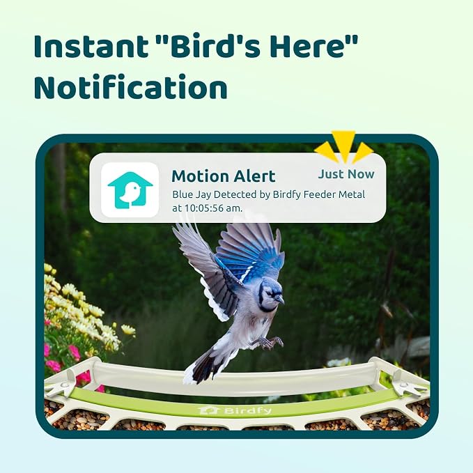 Birdfy Smart Bird Feeder with Camera, Durable Metal Bird Feeders for Outdoors, Auto-Detect & Record HD Videos, Instant Alerts & Live View, Solar Powered, Weatherproof for Backyard, Ideal Gift for Mom