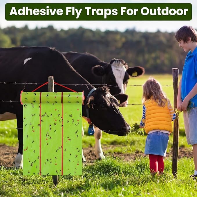 Qualirey Giant Sticky Fly Traps, Fly Strips for Indoor Outdoor Hanging Flying Tapes Non Toxic Ribbon Fruit Gnat Killer for Mosquito Plants House Horse Stable(59.06ft,Fluorescent Green,2 Pcs)