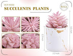 Der Rose 4 Packs Fake Succulents Plants Artificial Indoor for Pink Room Bathroom Decor Office Desk Accessories for Women