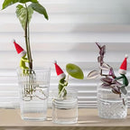6PCS Plant Propagation Buddy, Plant Cutting Holders for Sprouts and Stems, Plant Supports Come with Colorful & Christmas Hats, Ideal for Decorating Indoor Garden and Propagation Station (Red)