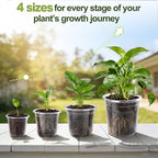 36 Pack Clear Plant Nursery Pots, 7/5/4/3.5 Inch Plastic Planter Pots with Drainage Hole, Flower Seedling Nursery Pots with 20 Labels for Garden Indoor Outdoor