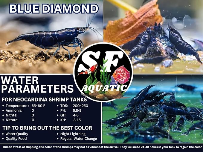 SF Aquatic™ Choose Your Favorite Color High Grade Neocaridina Live Freshwater Aquarium Shrimps. Fully Mature Breeding Age. Live Arrival Guarantee. (Blue Diamond, 20 Shrimps)