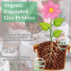 Riare 6 LBS Organic Expanded Clay Pebbles - 4mm-16mm Natural Leca Balls Lightweight Hydroponic Clay Pebbles Aggregate for Indoor Plants, Hydroponic Growing, Plants Drainage, Aquaponics