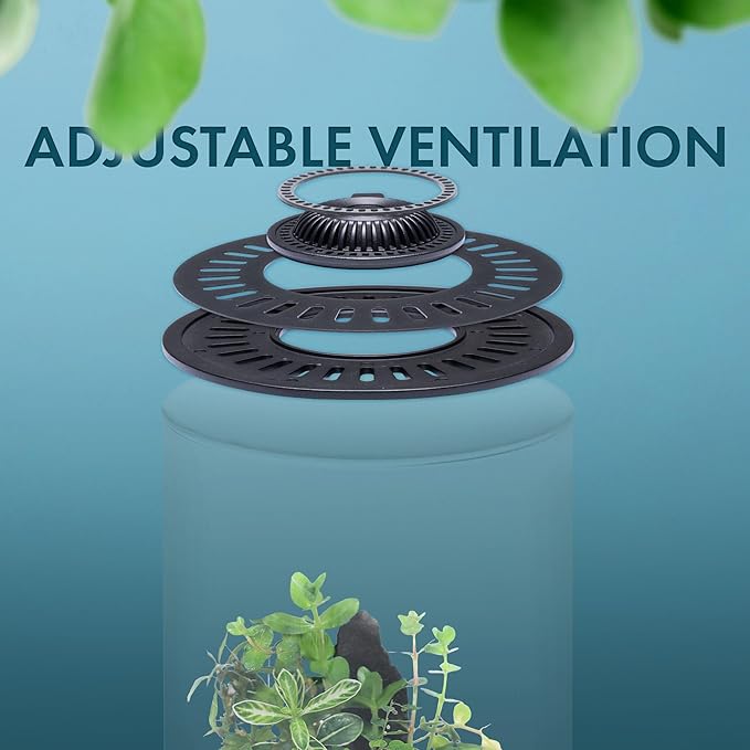 SubstrateSource Bio Cylinder - Glass Plant Terrarium Kit - Glass Terrarium w/LED Grow Light, Adjustable Ventilation Lid, Substrate, Moss & Accent Rocks - Bio Cylinder 150