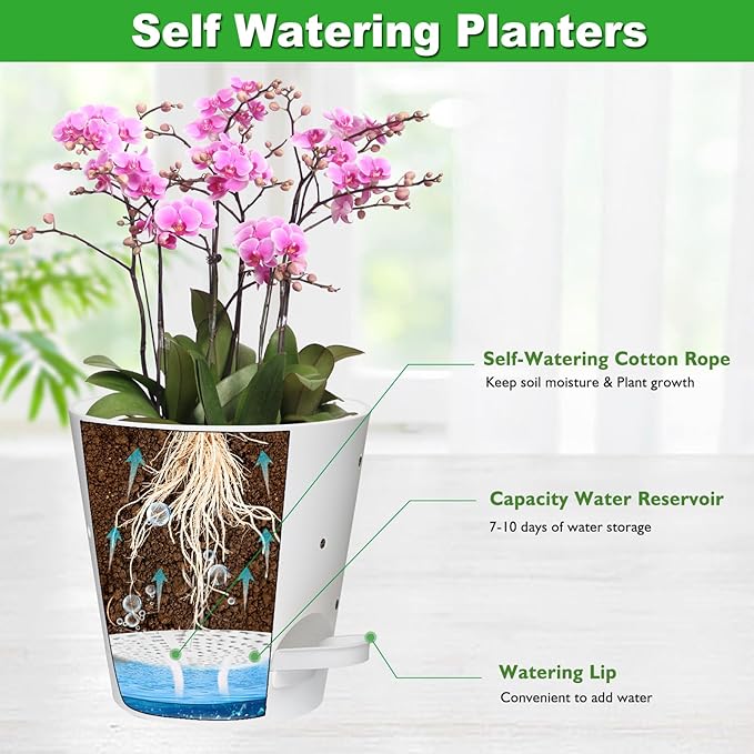 Vanslogreen Orchid Pots with Holes, 6 Inch Self Watering Orchid Pot 2 Pack Plastic Plant Pots for Orchid, Flower (White)