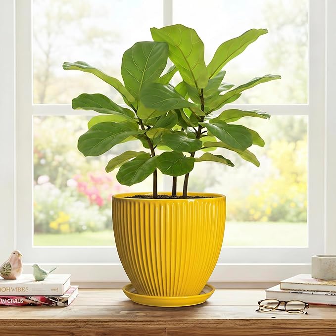 8 Inch Pots for Plants, Ceramic Plant Pots for Indoor Plants, Round Ceramic Planter with Drainage Hole and Saucer, Modern Decorative Plant Pot, Home Kitchen Decor, Women Men Gifts, Yellow
