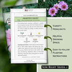 Sow Right Seeds - Painted Daisy Seeds for Planting - Non-GMO Heirloom Seeds Packet with Instructions - Wonderful Pink Blooms to Attract Pollinators - Cut and Come Again - Rare and Attractive (3)